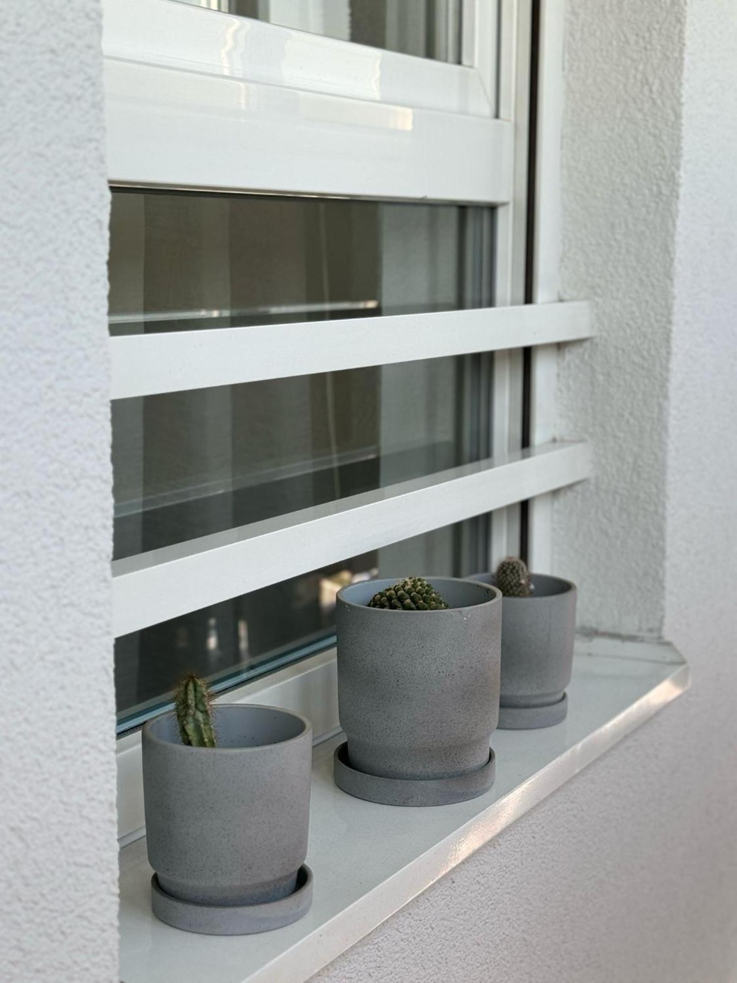 בלגרד Manhattan Apartman Belvil מראה חיצוני תמונה